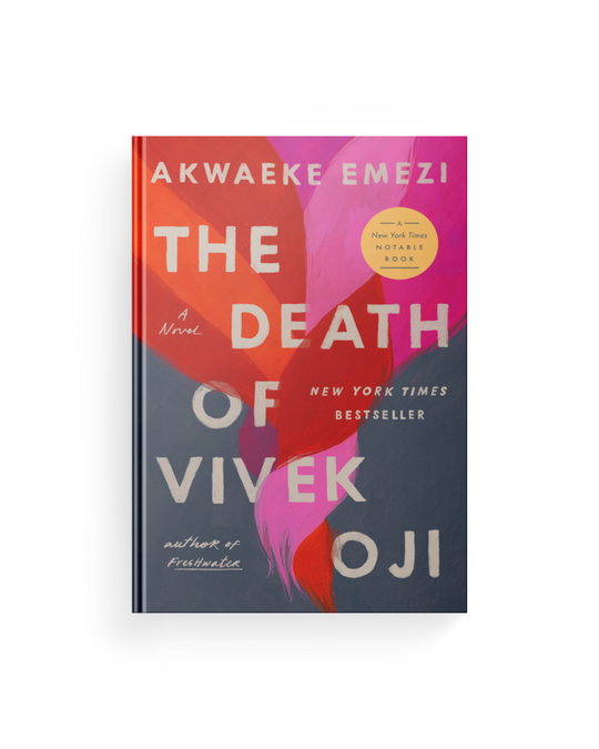 The Death of Vivek Oji