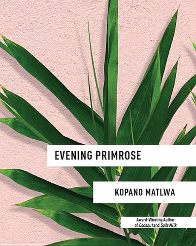 Evening Primrose
